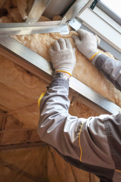 Types of Insulation We Offer in Paramount, CA