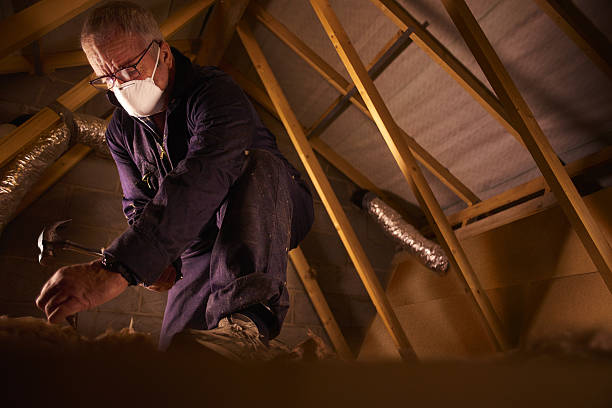 Best Commercial Insulation in Paramount, CA